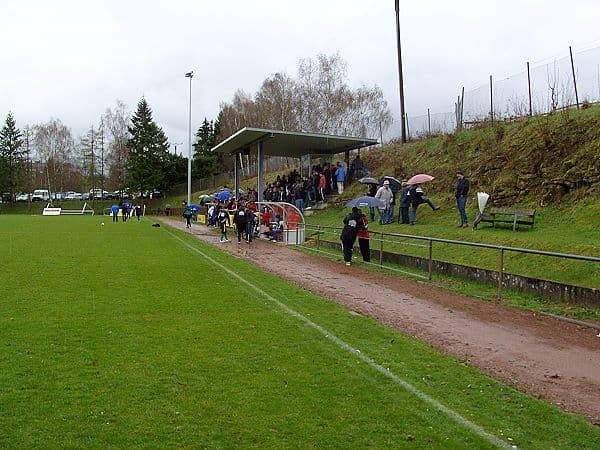 Saar-Blies-Stadion main image