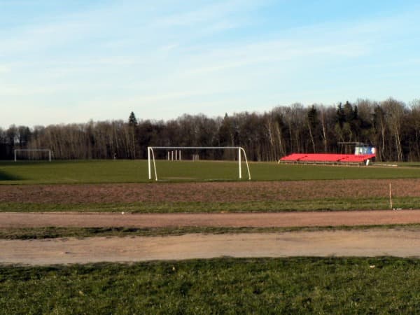 VDU Valdo Adamkaus stadionas main image