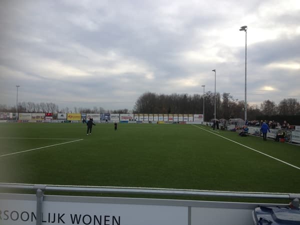 Sportpark SteDoCo Kunstgrasveld main image
